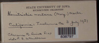 Image Associated With the Occurence